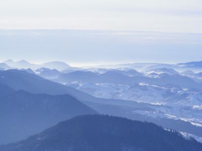 Spauskite peržiūrėti tikro dydžio