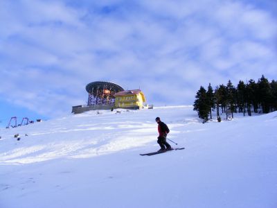 Cliquez pour voir l'image en taille réelle